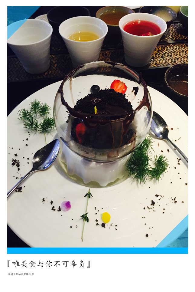 2015年第十二屆上海模型展，大華參展！